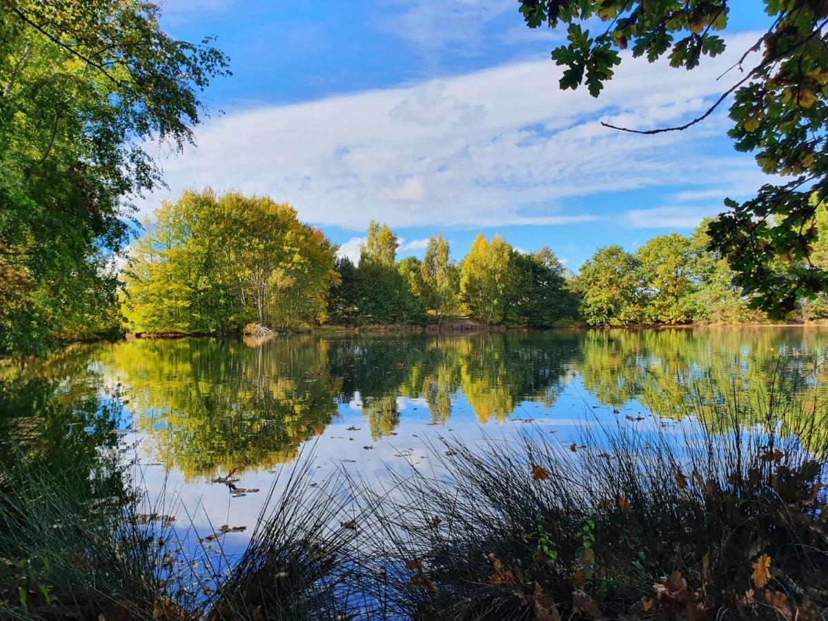 בורקן Ferienwohnung Am See Dillich - Eigener Garten - Ruhige Lage - Natur Vor Der Haustuer מראה חיצוני תמונה
