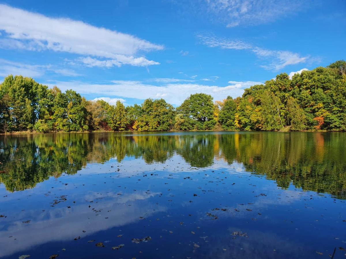 בורקן Ferienwohnung Am See Dillich - Eigener Garten - Ruhige Lage - Natur Vor Der Haustuer מראה חיצוני תמונה