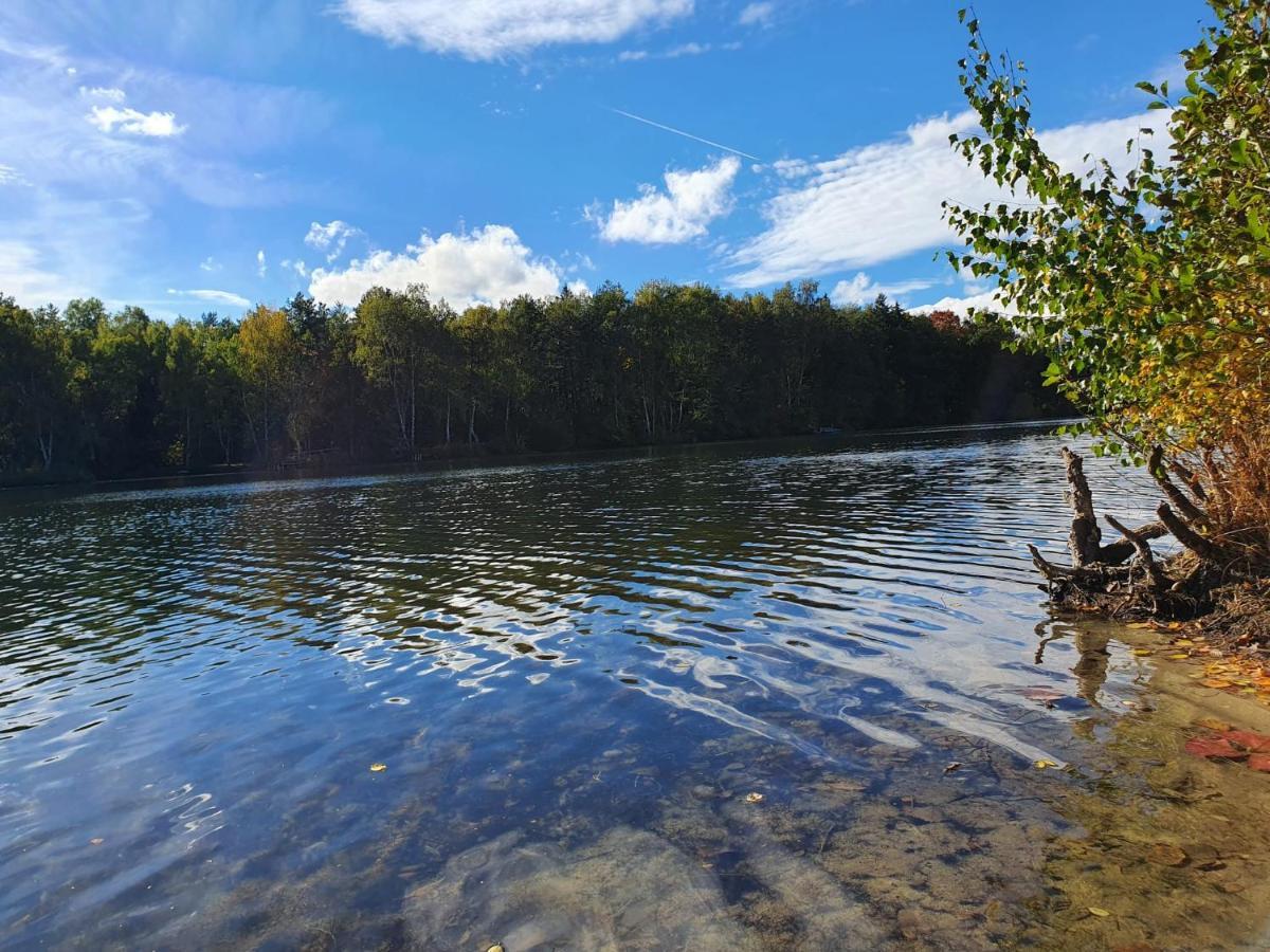 בורקן Ferienwohnung Am See Dillich - Eigener Garten - Ruhige Lage - Natur Vor Der Haustuer מראה חיצוני תמונה