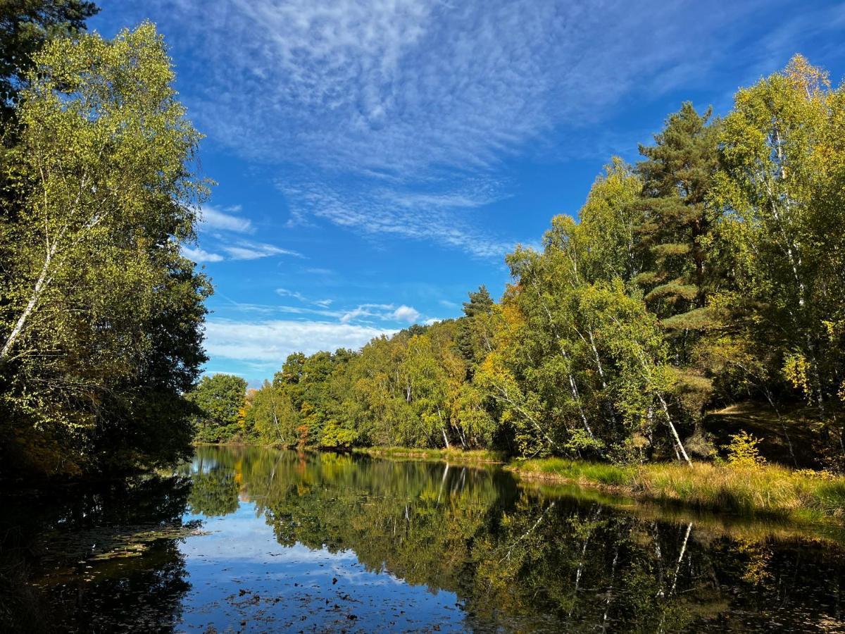 בורקן Ferienwohnung Am See Dillich - Eigener Garten - Ruhige Lage - Natur Vor Der Haustuer מראה חיצוני תמונה